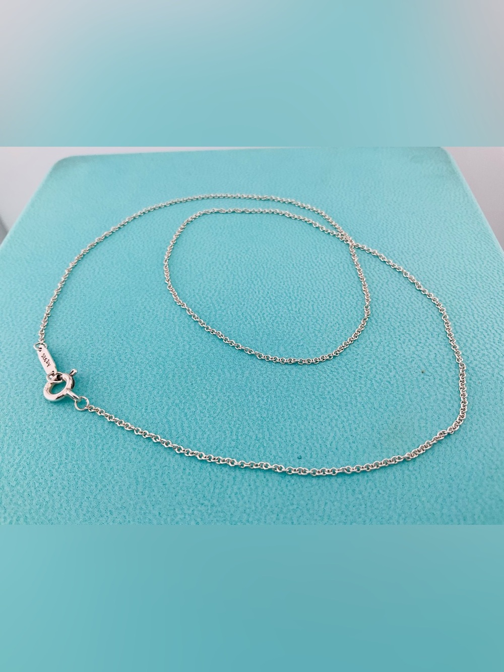 Tiffany Thin Chain Necklace